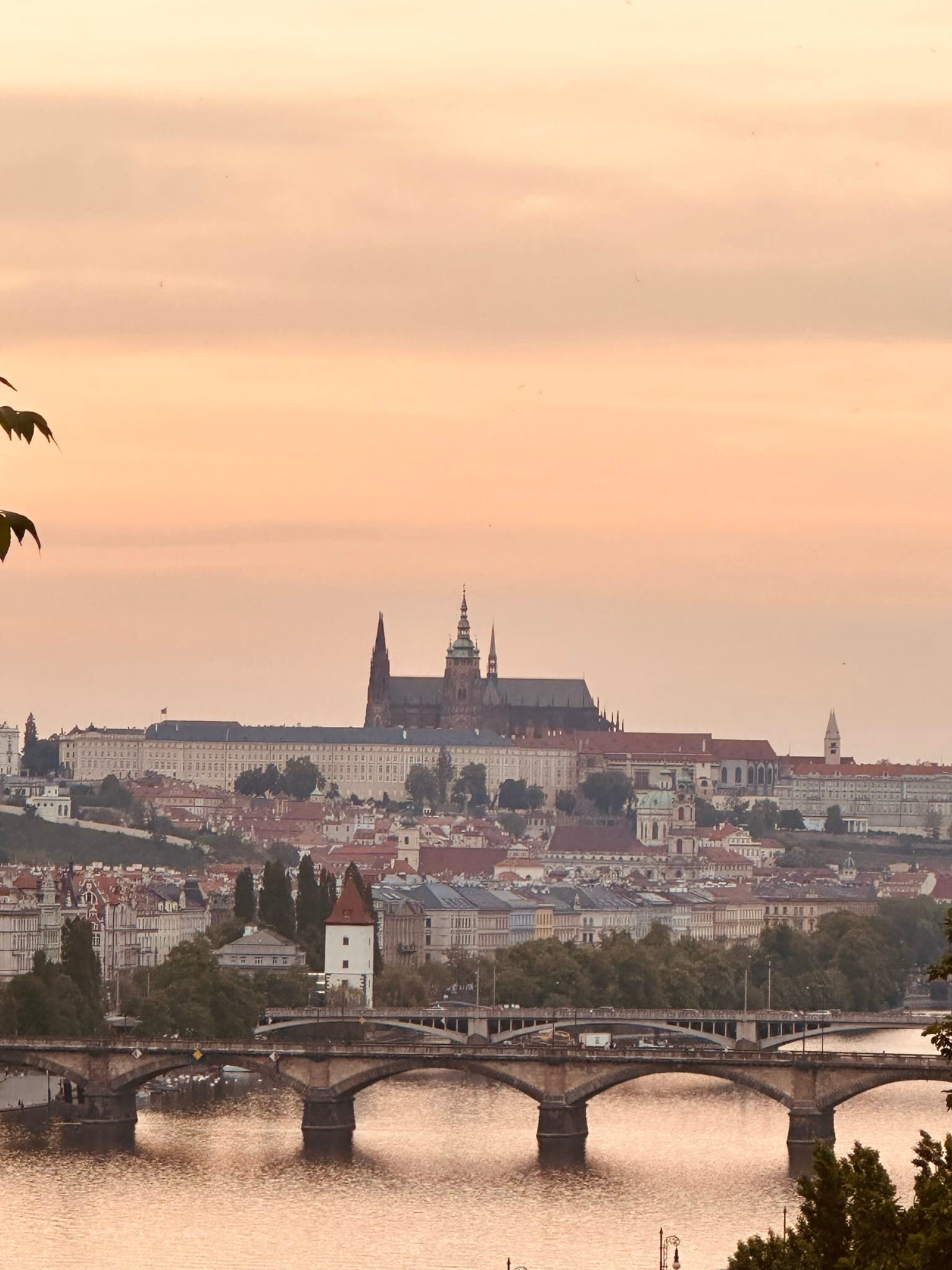 프라하에 위치한 프라이빗 투어 전문 가이드 입니다.